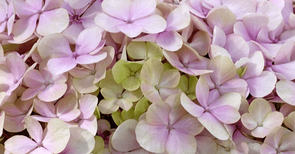 Preparing for a spring property purchase. Preparing for a spring property purchase.